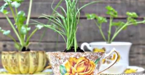 30 Amazing DIY Indoor Herbs Garden Ideas