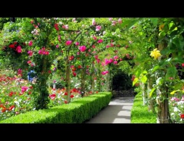 Most beautiful garden. Canada.