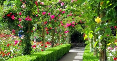 Most beautiful garden. Canada.