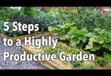 Vegetable Gardening: How to Plan a Highly Productive Garden