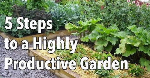 Vegetable Gardening: How to Plan a Highly Productive Garden