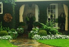 Gardening Designs Ideas