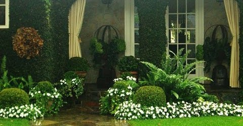 Gardening Designs Ideas