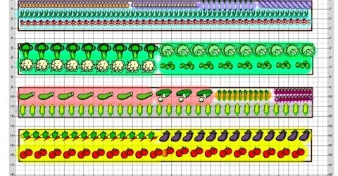 Vegetable Garden Layout Ideas