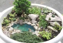 DIY Miniature garden decorating ideas