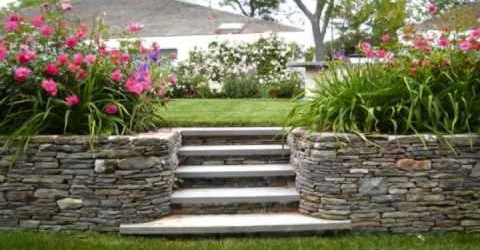 Garden Wall Ideas