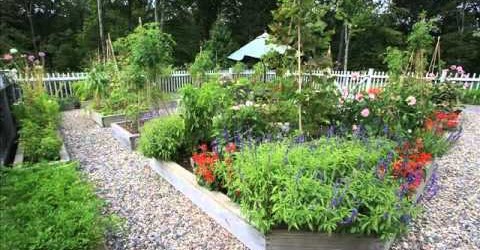 3 Common Garden Planning Mistakes (And How To Avoid Them) [Vegetable Garden Layout Ideas]