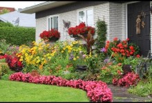 My mom’s flower garden – Le jardin de ma mere