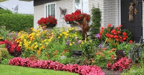 My mom’s flower garden – Le jardin de ma mere