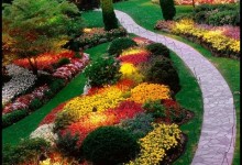 Landscape Design Ideas for Outdoor Gardening Decor