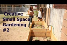 Creative Small Space Gardening #2 – Helping Kate