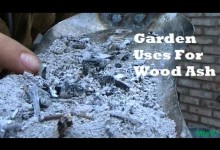 Garden tips – Wood Ash 101