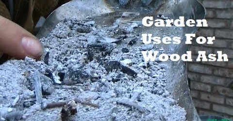 Garden tips – Wood Ash 101