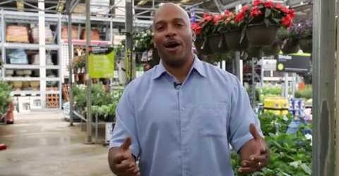 Basic Container Gardening with William Moss