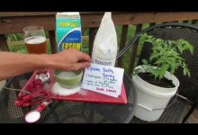 Why is Epsom Salt/Magnesium Sulfate Good For Tomato & Vegetable Plants: The Details! – TRG 2014