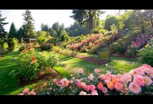 Gardening Ideas and Garden Landscaping