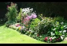 Perennial garden design ideas