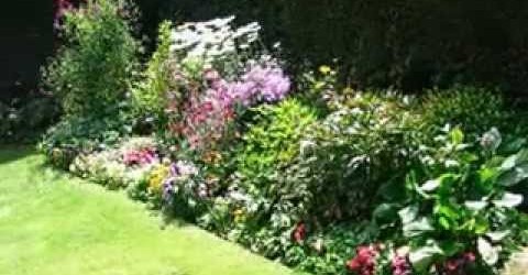 Perennial garden design ideas