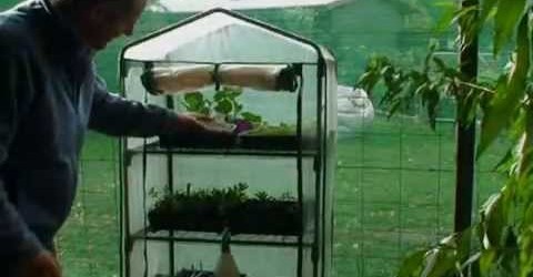 vegetable gardening.growing vegetables indoors.organic gardening.organic vegetables