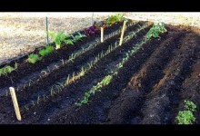 The Beginning | 2014 Spring Vegetable Garden