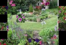 Flower garden ideas