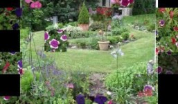 Flower garden ideas