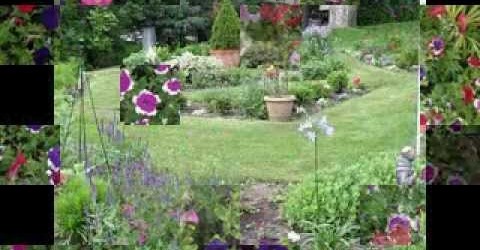 Flower garden ideas