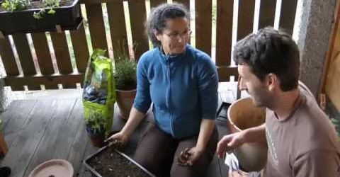 Container gardening in small spaces – How to grow Herbs & Vegetables on your Balcony in Containers