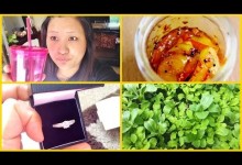 Anniversary Gift, Tips For Gardening, Syau Ko Achar, Cheap Tumblers & More!