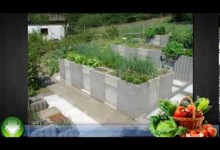 Home Vegetable Gardening Tips and Ideas For Beginners