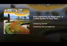 Easy Gardening for Beginners – A Lovely Garden of Your Own