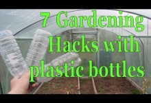 7 Gardening Hacks with Plastic Bottles – Simple, Free and Effective!