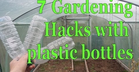 7 Gardening Hacks with Plastic Bottles – Simple, Free and Effective!