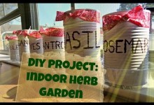 DIY project: Indoor Herb Garden