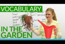 English Vocabulary: In the GARDEN