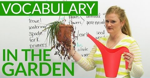 English Vocabulary: In the GARDEN