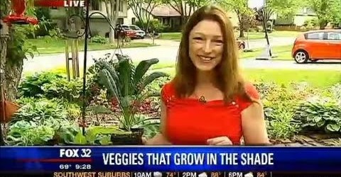 Best Vegetable Plants for Shade Gardening