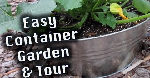 Easy Container Garden, Tips & Tour